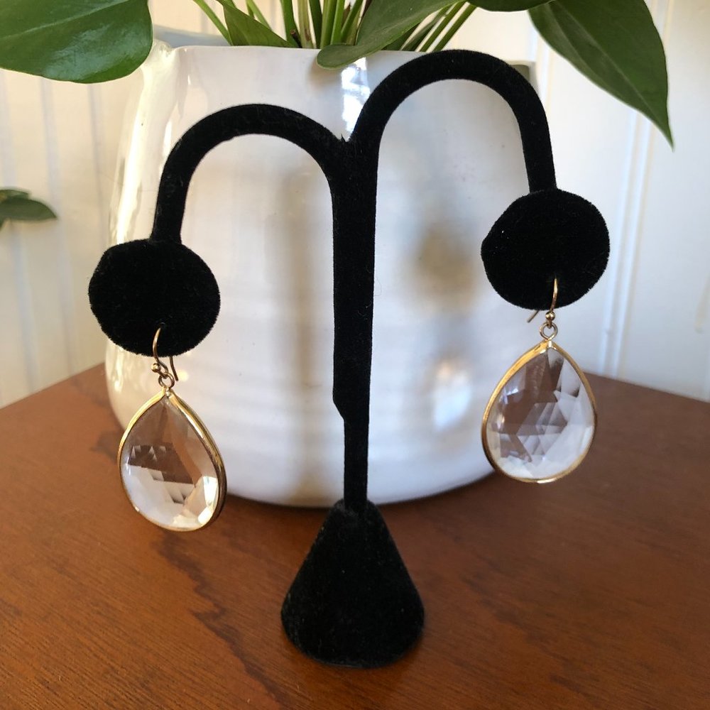 Anthropologie Drop Statement Earrings in Clear